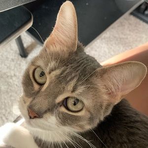 Meet your Posher, Katrina